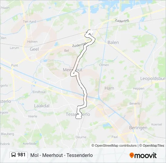 981 Bus Line Map