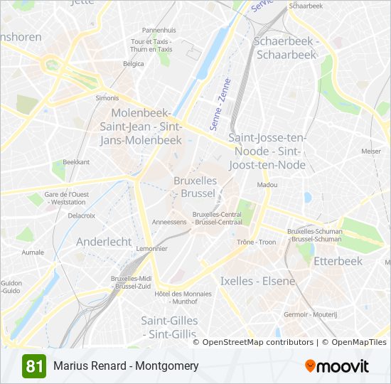 81 Route: Schedules, Stops & Maps - Marius (Updated)