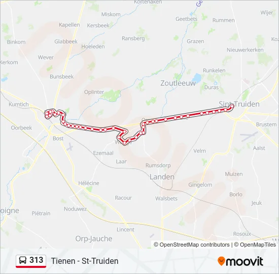 313 Bus Line Map