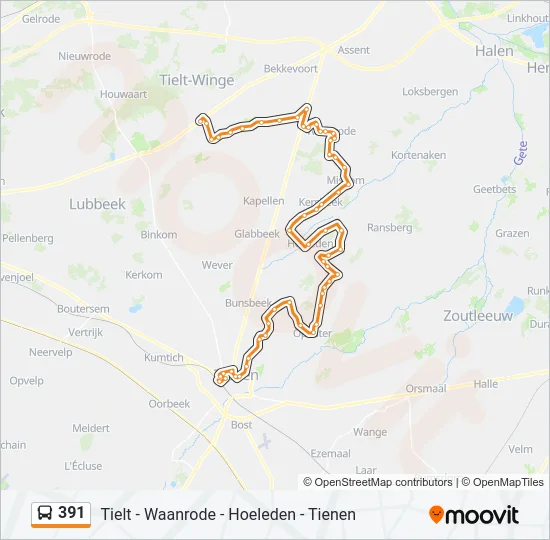 391 Bus Line Map