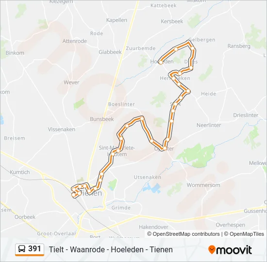 391 Bus Line Map