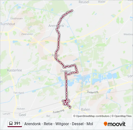391 Bus Line Map