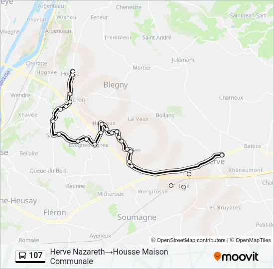 107 Bus Line Map