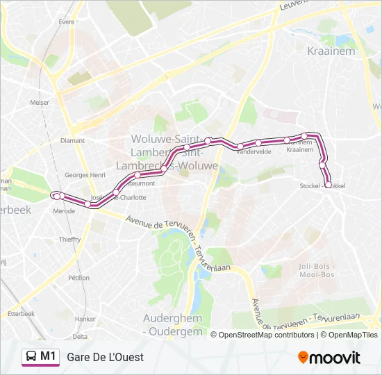 M1 Bus Line Map