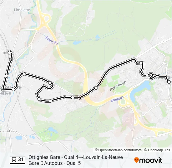 31 Bus Line Map