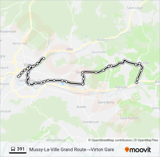 391 Bus Line Map