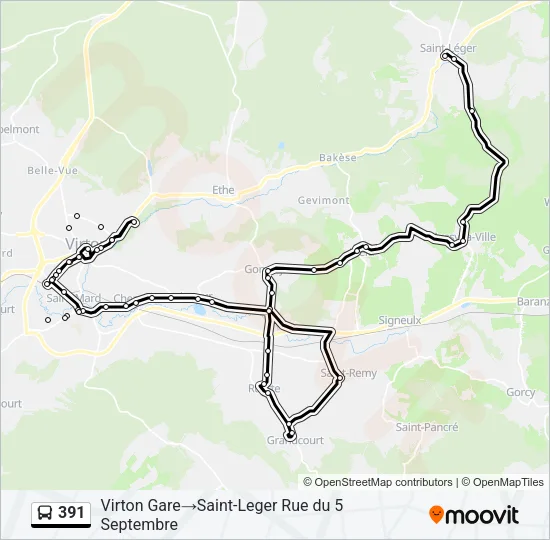 391 Bus Line Map