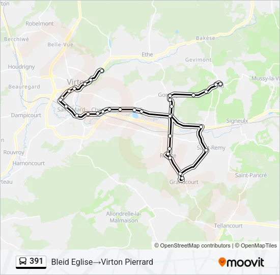 391 Bus Line Map