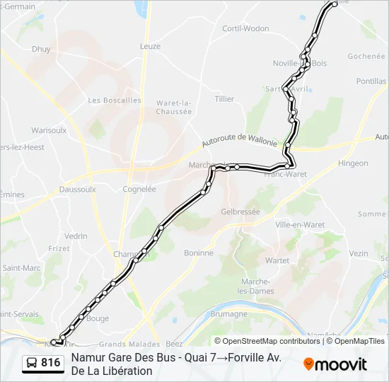 816 Bus Line Map