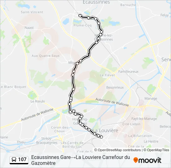 107 Bus Line Map