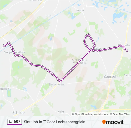 607 Bus Line Map