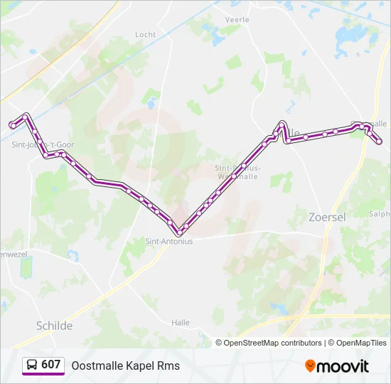 607 Bus Line Map