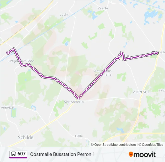607 Bus Line Map