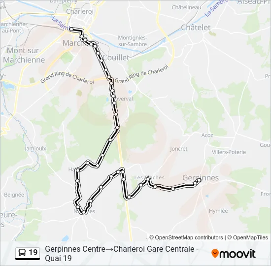 19 Bus Line Map