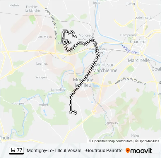 77 Bus Line Map