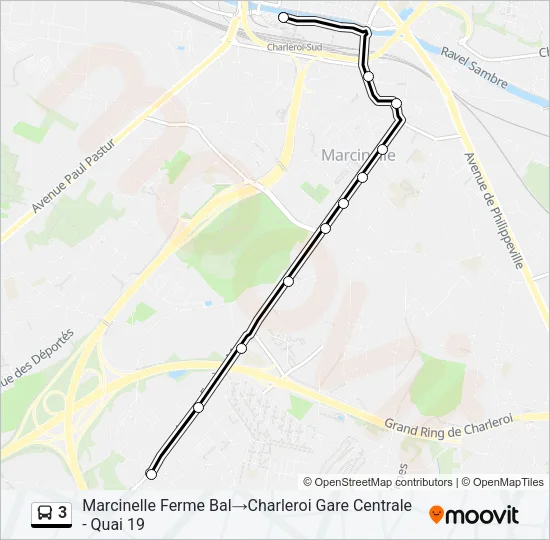 3 Bus Line Map