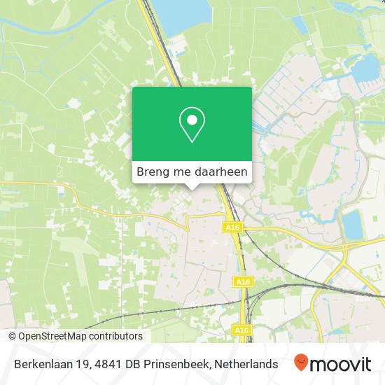 Berkenlaan 19, 4841 DB Prinsenbeek kaart