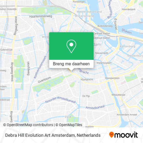 Debra Hill Evolution Art Amsterdam kaart
