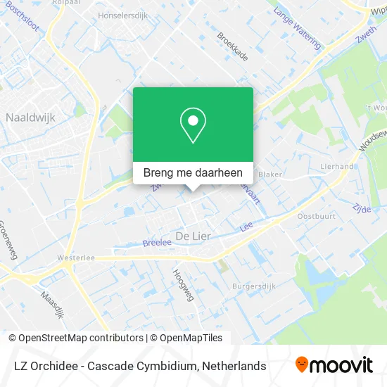 LZ Orchidee - Cascade Cymbidium kaart