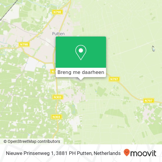 Nieuwe Prinsenweg 1, 3881 PH Putten kaart