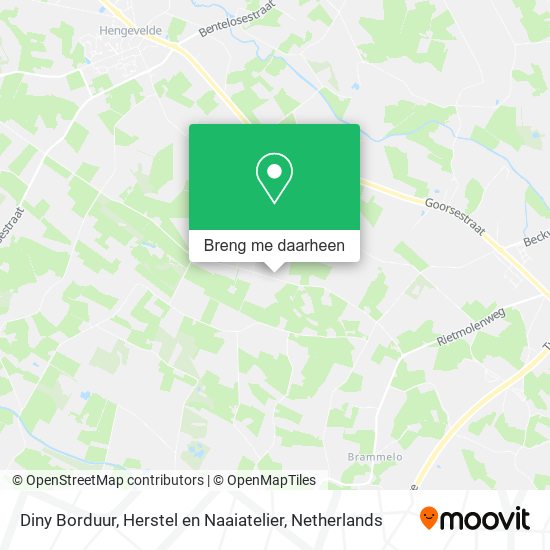 Diny Borduur, Herstel en Naaiatelier, Diepenheimseweg 44 kaart