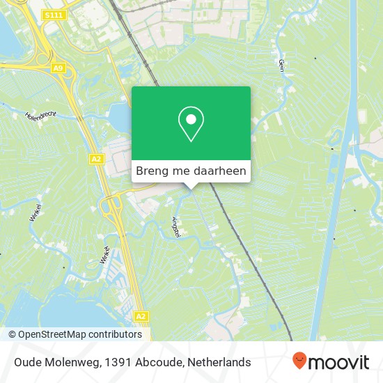 Oude Molenweg, 1391 Abcoude kaart