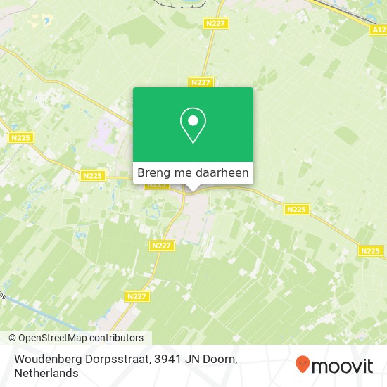 Woudenberg Dorpsstraat, 3941 JN Doorn kaart