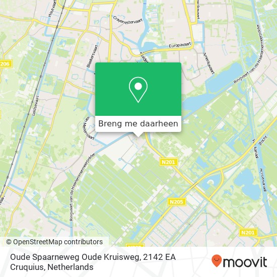 Oude Spaarneweg Oude Kruisweg, 2142 EA Cruquius kaart