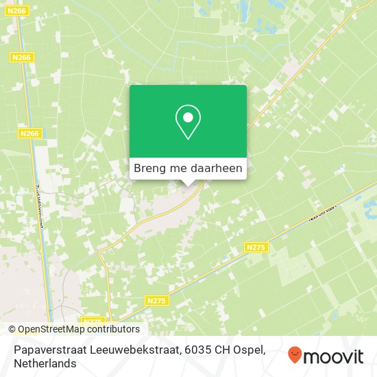 Papaverstraat Leeuwebekstraat, 6035 CH Ospel kaart