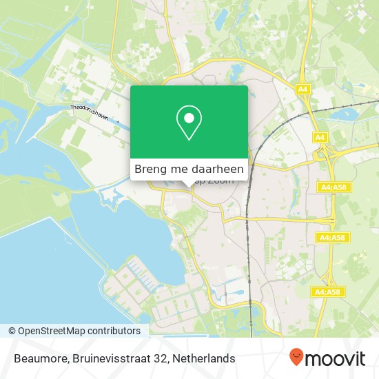 Beaumore, Bruinevisstraat 32 kaart