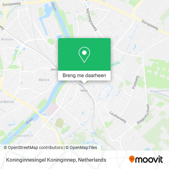 Koninginnesingel Koninginnep kaart