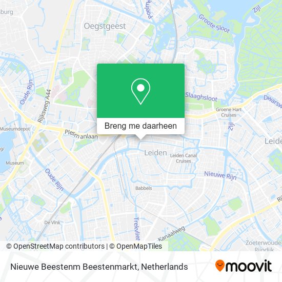 Nieuwe Beestenm Beestenmarkt kaart