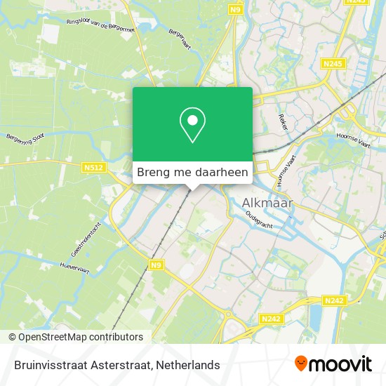 Bruinvisstraat Asterstraat kaart