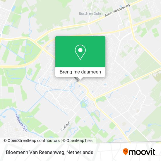 Bloemenh Van Reenenweg kaart