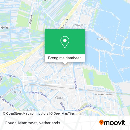 Gouda, Mammoet kaart