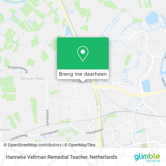 Hanneke Veltman Remedial Teacher kaart