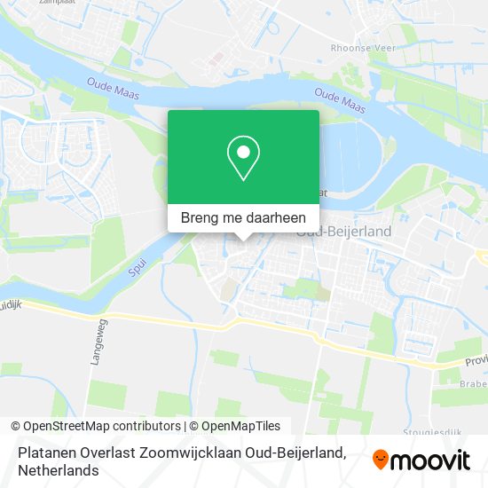 Platanen Overlast Zoomwijcklaan Oud-Beijerland kaart