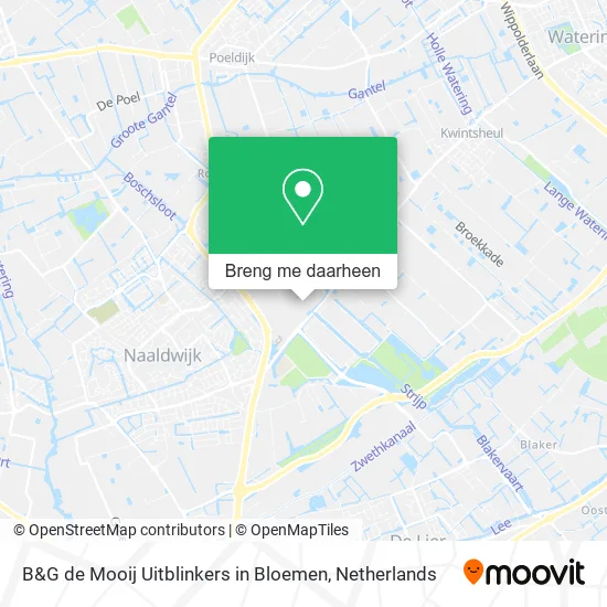 B&G de Mooij Uitblinkers in Bloemen kaart