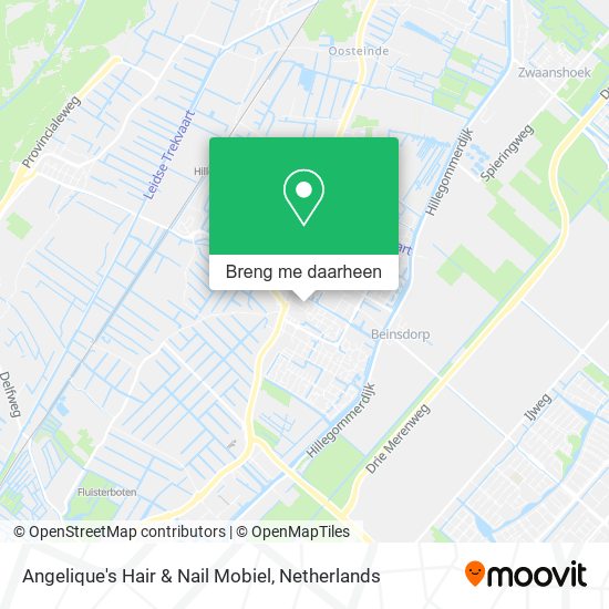 Angelique's Hair & Nail Mobiel kaart