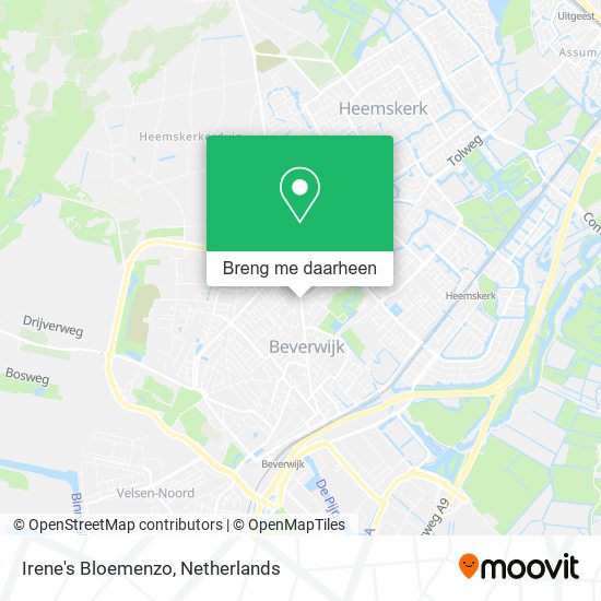 Irene's Bloemenzo kaart
