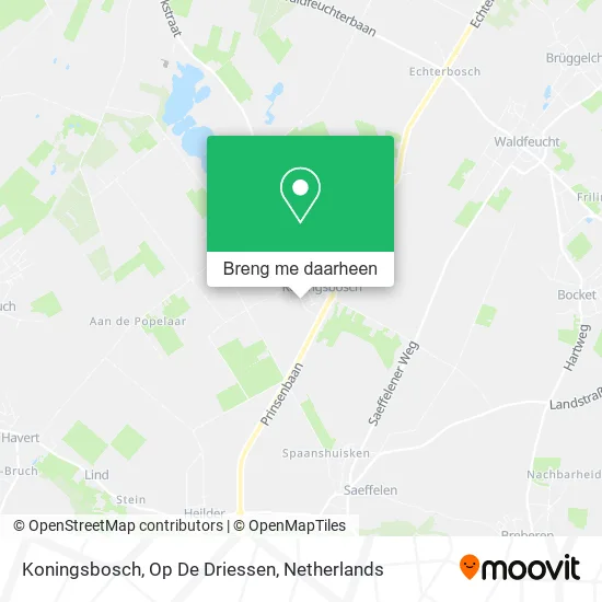 Koningsbosch, Op De Driessen kaart