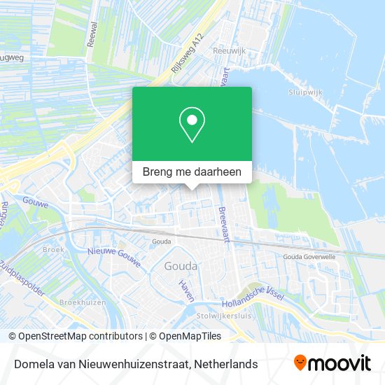 Domela van Nieuwenhuizenstraat kaart