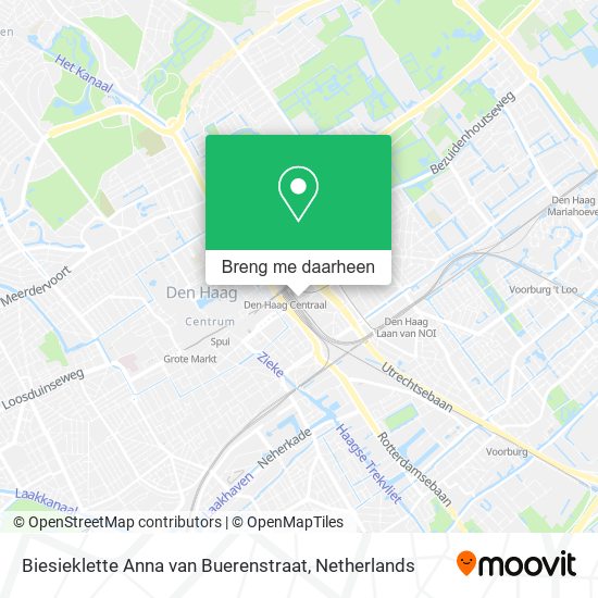 Biesieklette Anna van Buerenstraat kaart