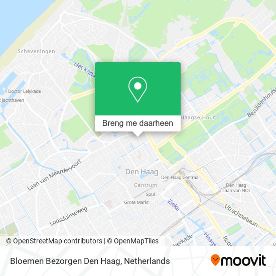 Bloemen Bezorgen Den Haag kaart