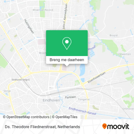Ds. Theodore Fliednerstraat kaart