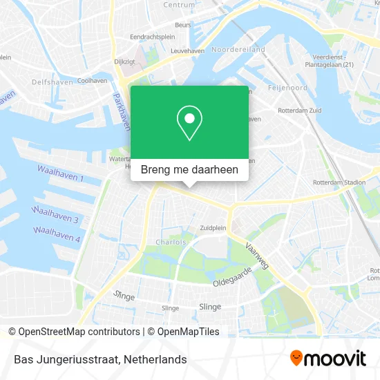 Bas Jungeriusstraat kaart