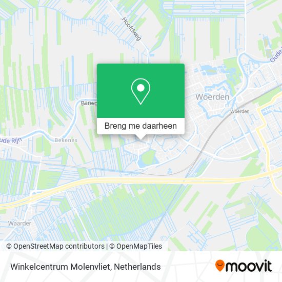 Winkelcentrum Molenvliet kaart