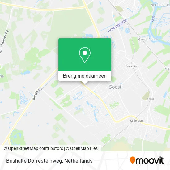 Bushalte Dorresteinweg kaart