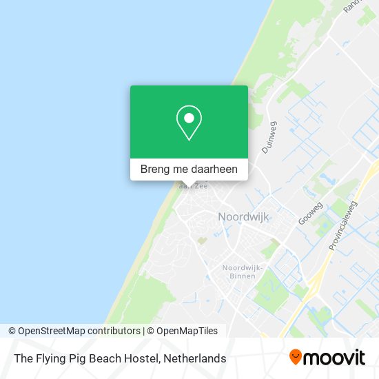 The Flying Pig Beach Hostel kaart