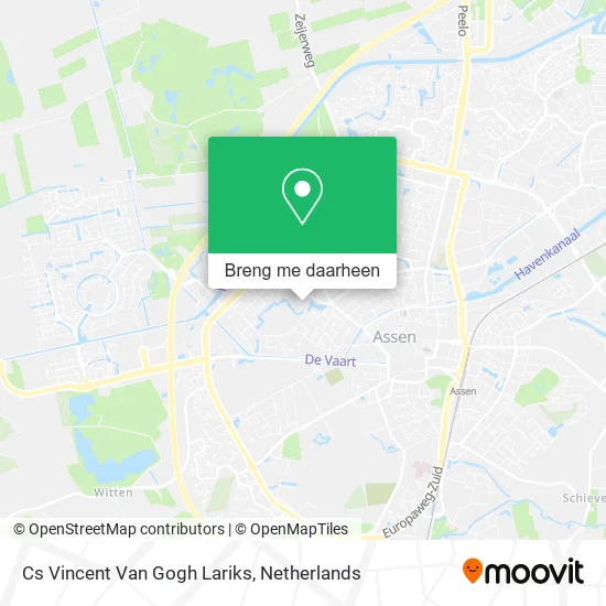 Cs Vincent Van Gogh Lariks kaart